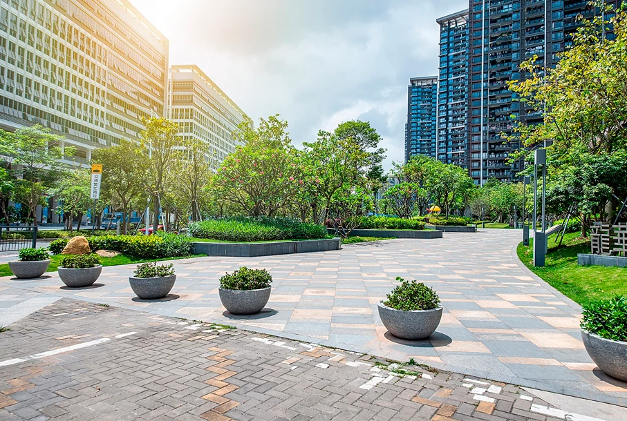 aestría en  Arquitectura Paisajista